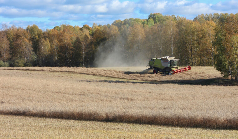 skördetröska på jordbruksmarker runt Oppigårds Bryggeri