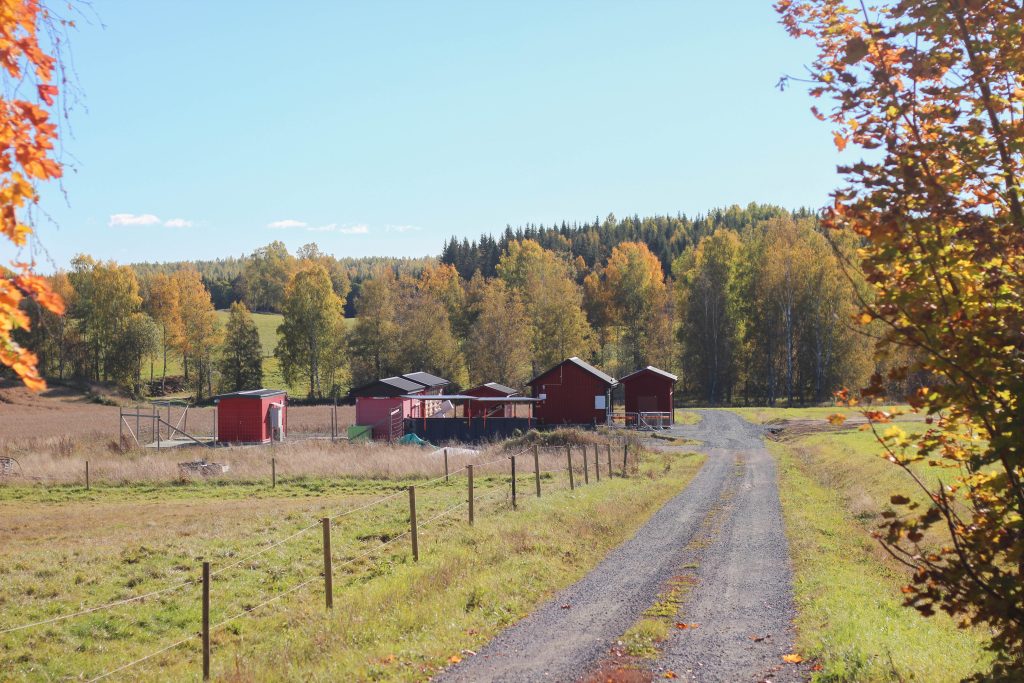 Reningsverket på hösten